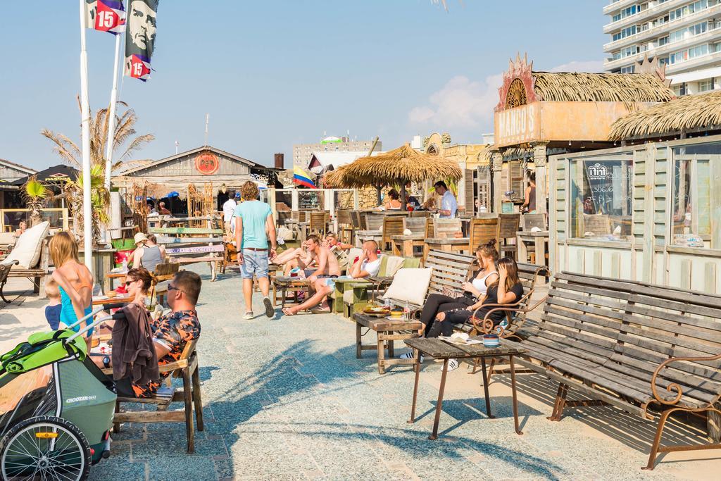 Cute Beach House Zandvoort Esterno foto
